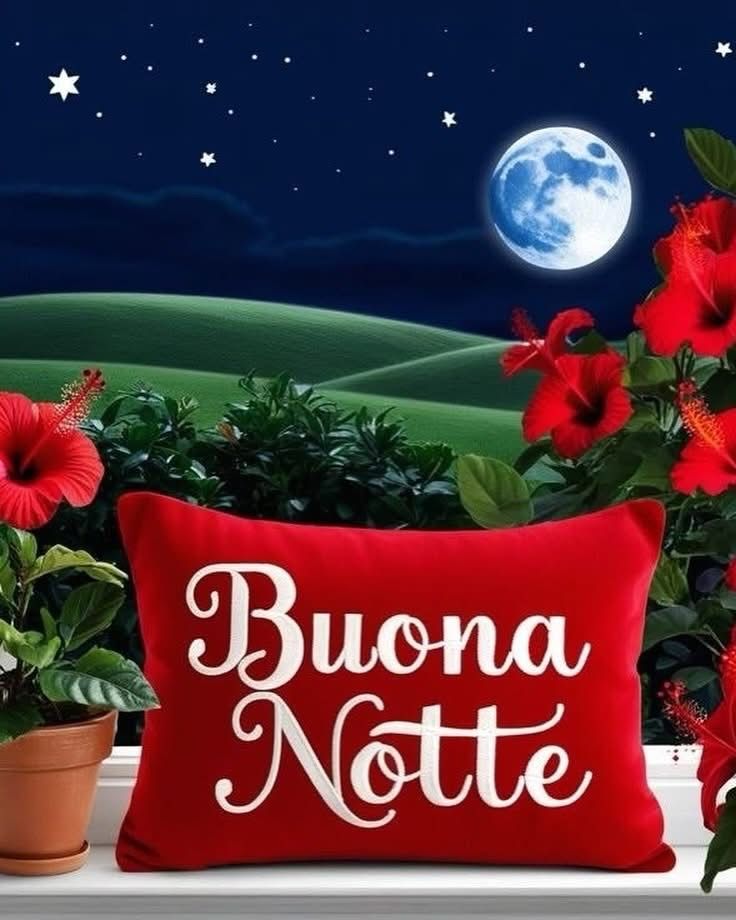 Immagini buonanotte belle
