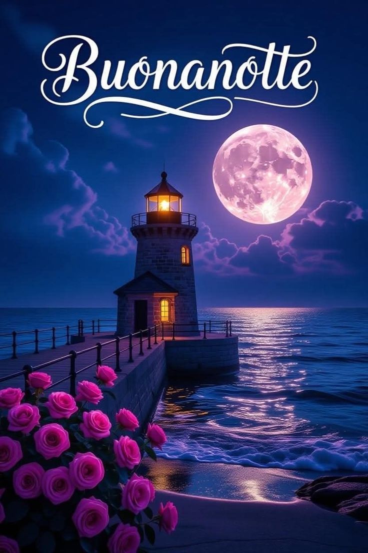 belle immagini buonanotte gatti