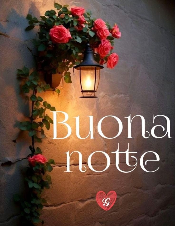 bellissima buonanotte estiva