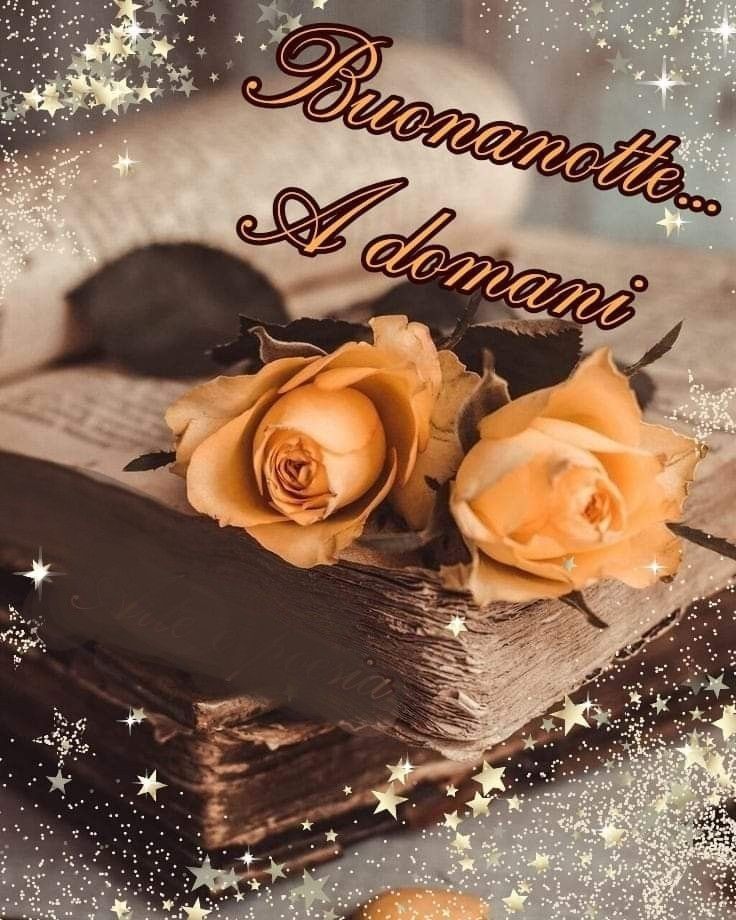 bellissime speciale immagini buonanotte belle