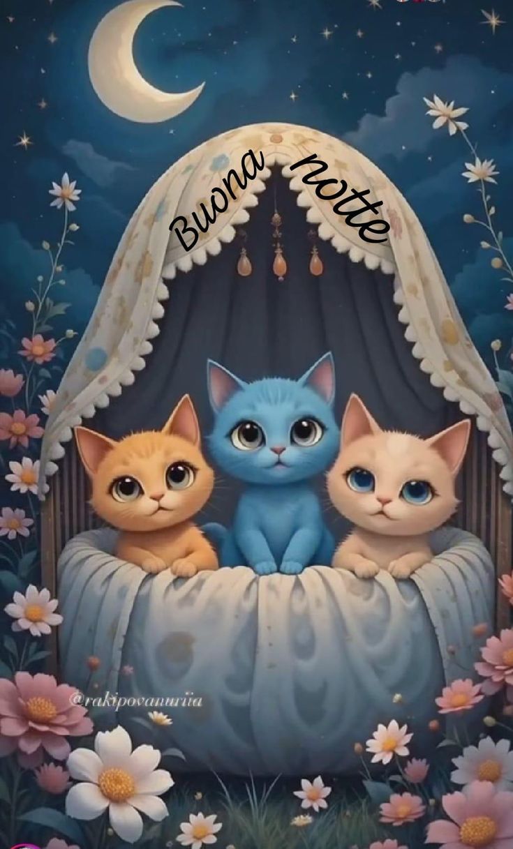 buona serata e buonanotte immagini nuove