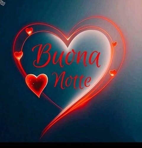 buonanotte a domani in francese