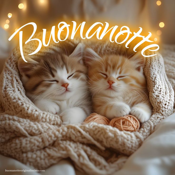 buonanotte belle immagini su pinterest