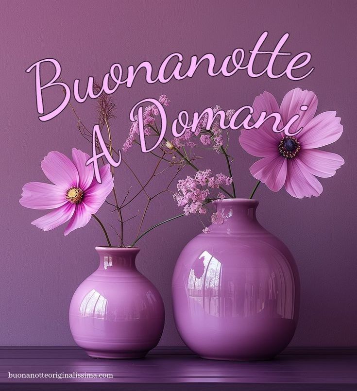 buonanotte bellissimi frasilandia