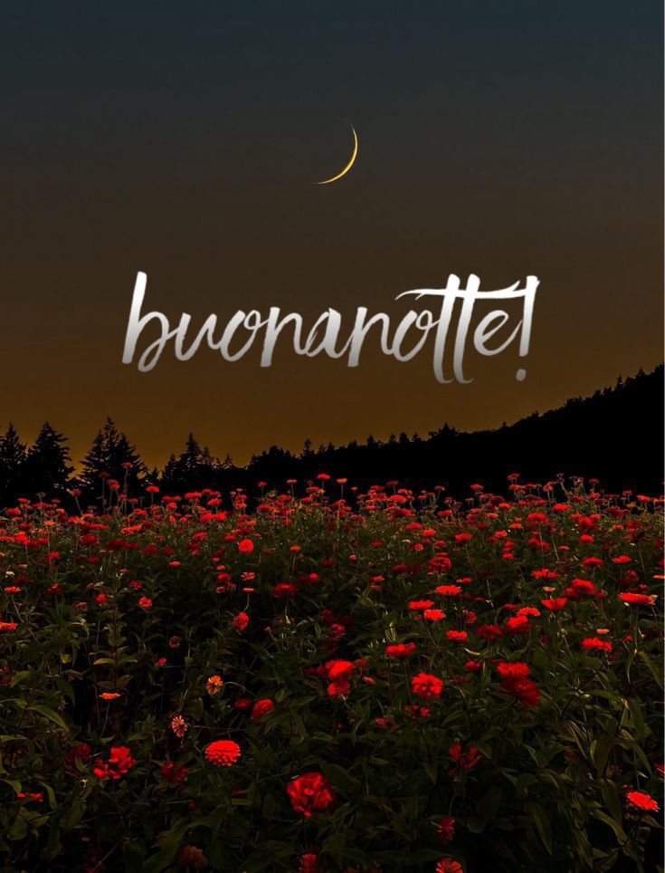 buonanotte da youtubo