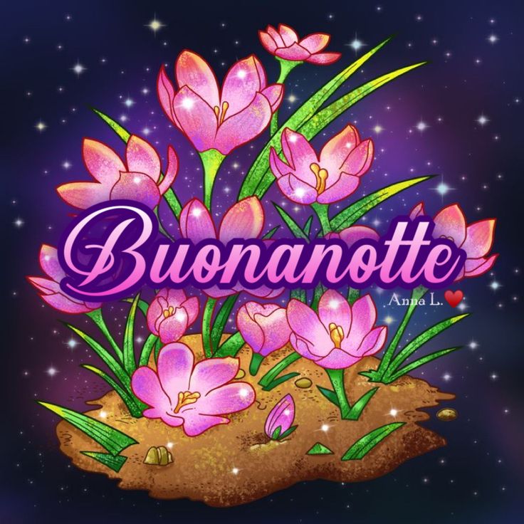 buonanotte del re