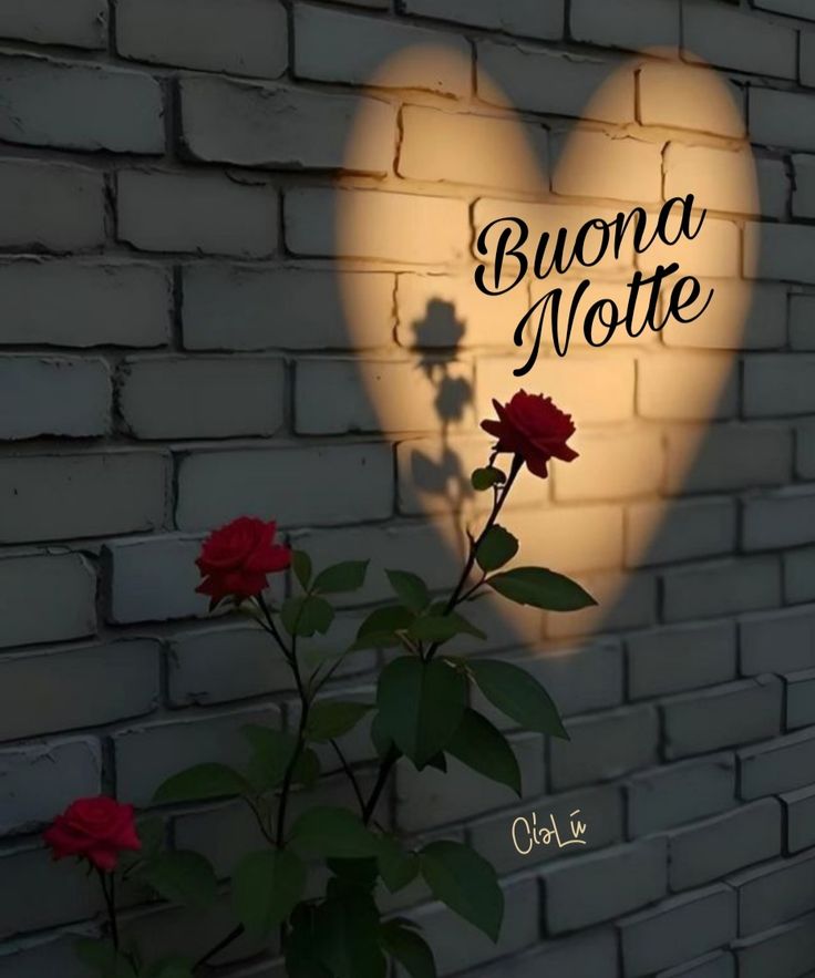 buonanotte estiva immagini nuove