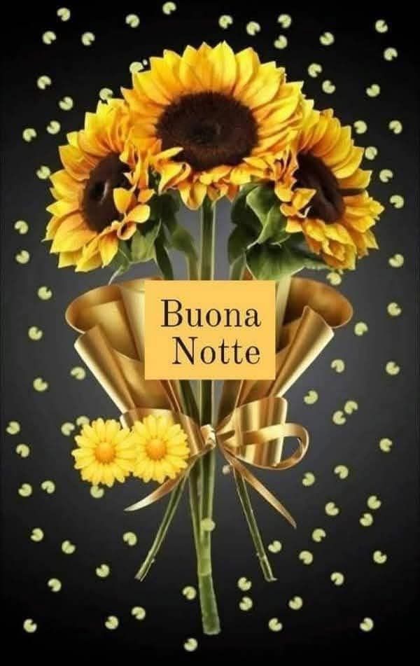 buonanotte estiva san lorenzo