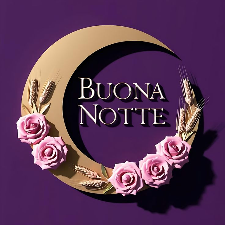 buonanotte immagini amore