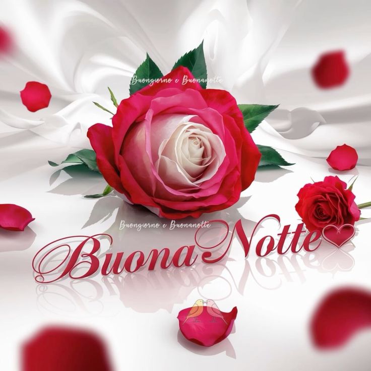 buonanotte immagini e frasi