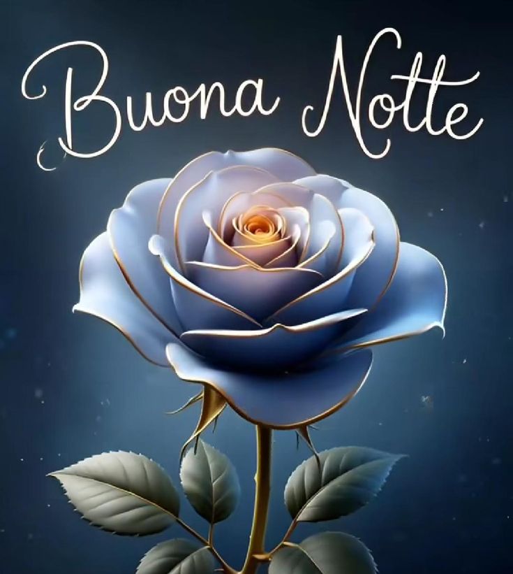 buonanotte immagini felicita