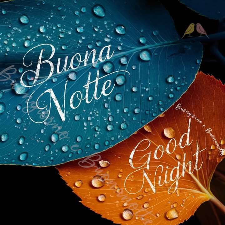 buonanotte immagini luna