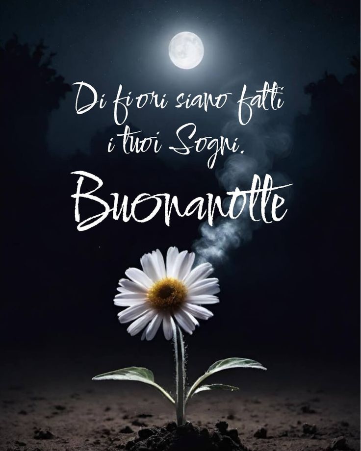 buonanotte immagini romantiche