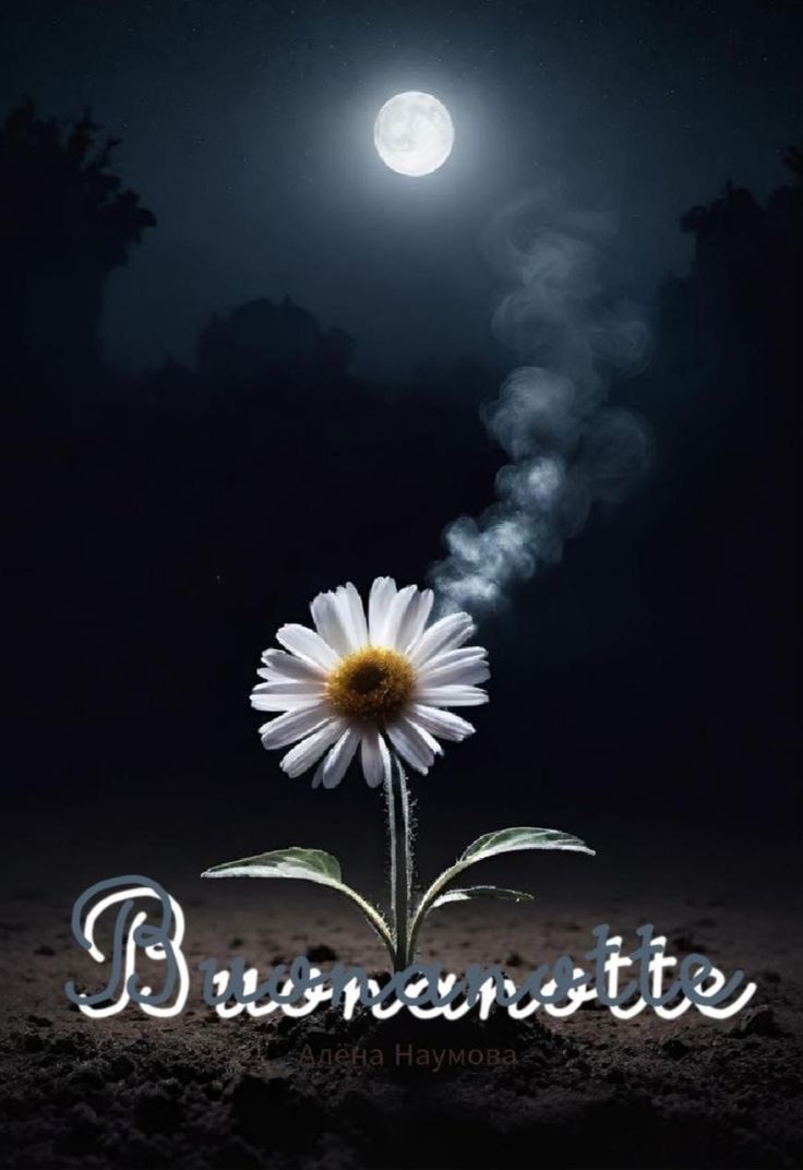 buonanotte immagini whatsapp gif