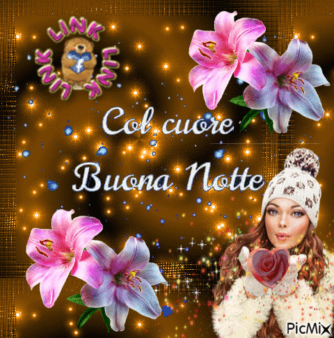 buonanotte tutti insieme appassionatamente