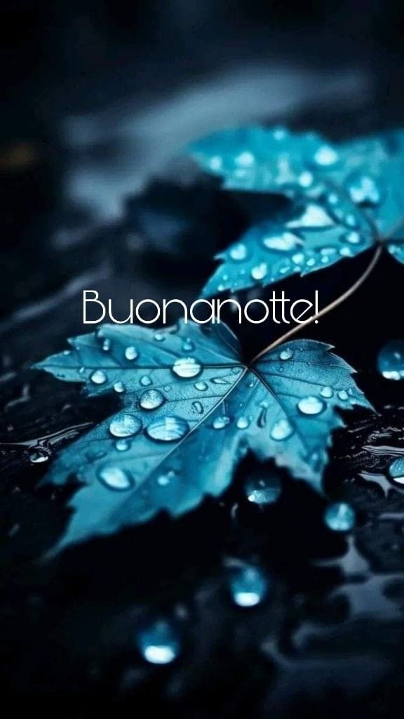 buonanotte zia immagini