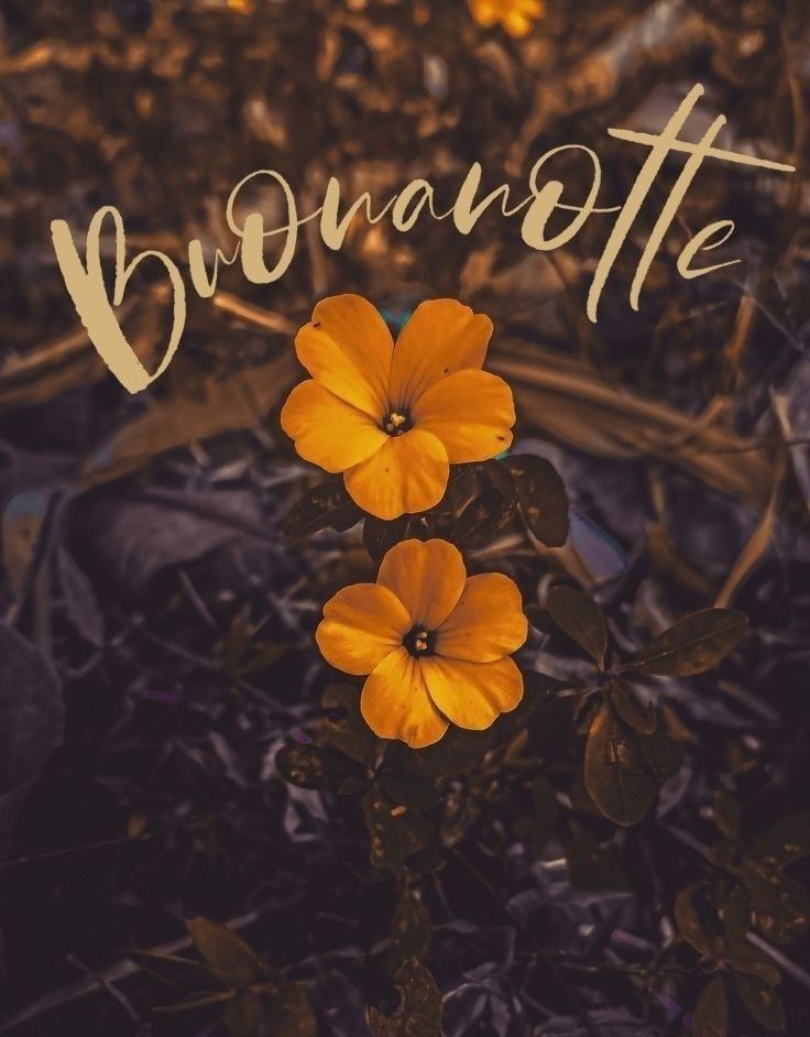 domani immagini buonanotte