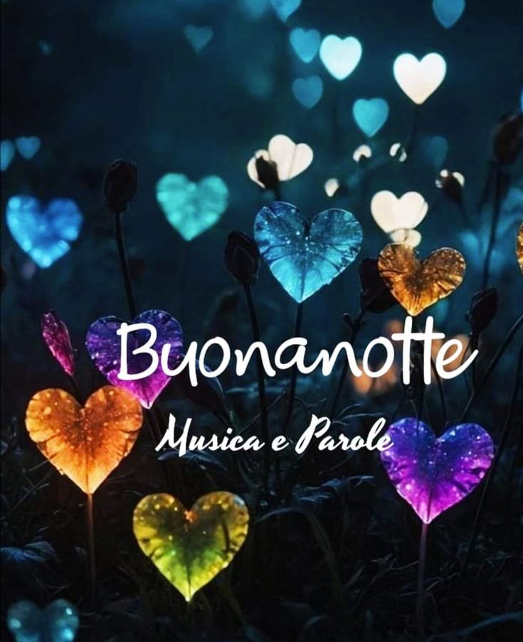 fiori per un buongiorno immagini buonanotte