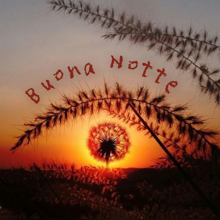 gratis buonanotte bellissimi