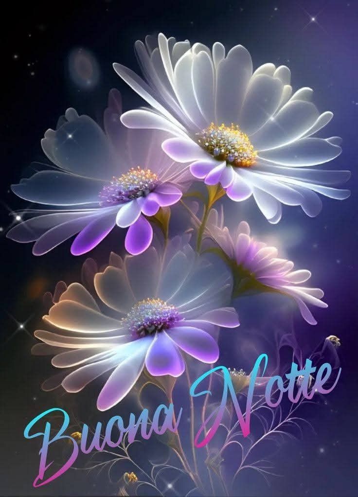 immagini belle notte buonanotte bellissimi