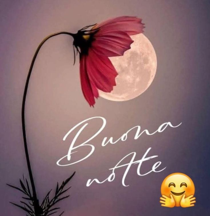 immagini buonanotte agosto