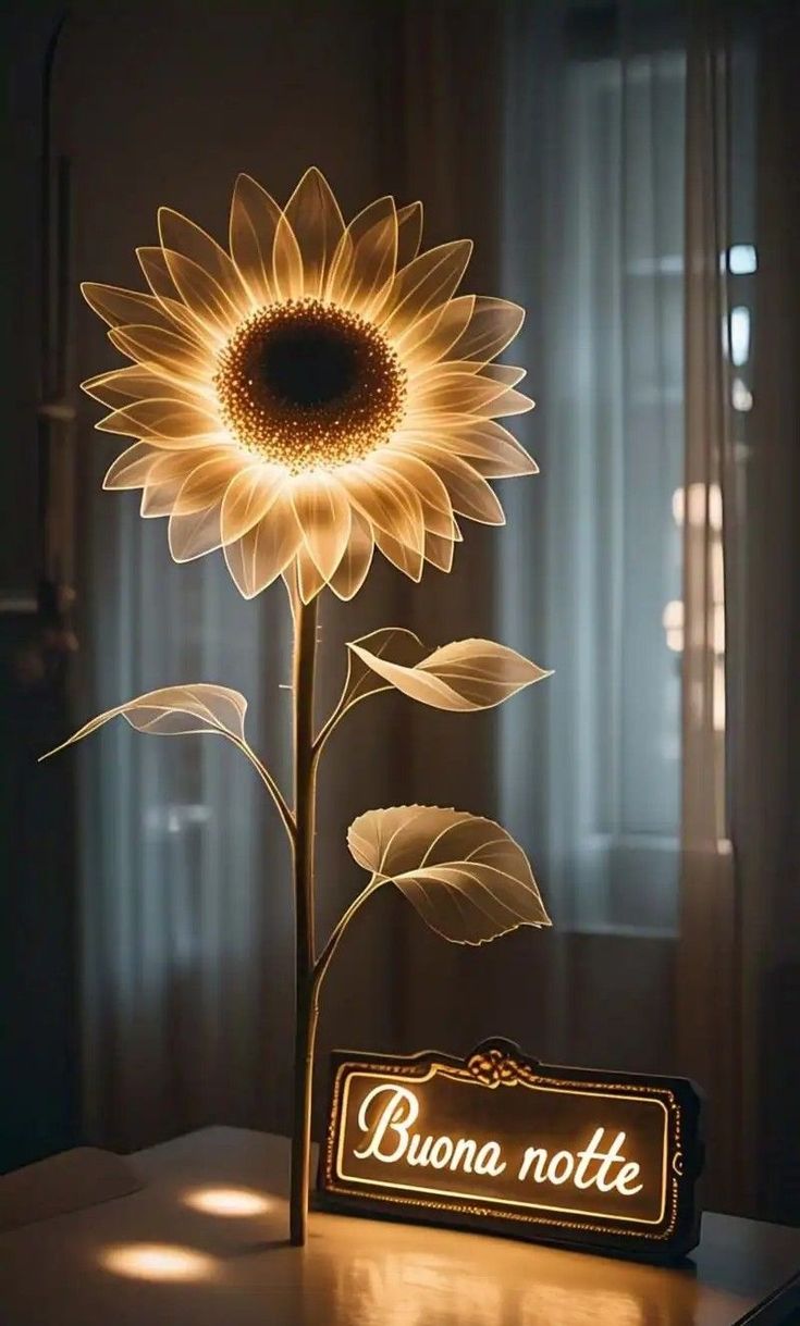 immagini buonanotte dolci sogni immagini buonanotte dolci sogni