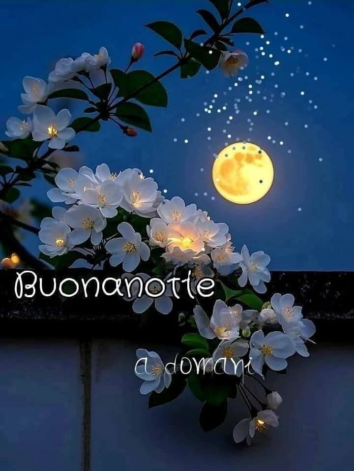 immagini buonanotte gif animate