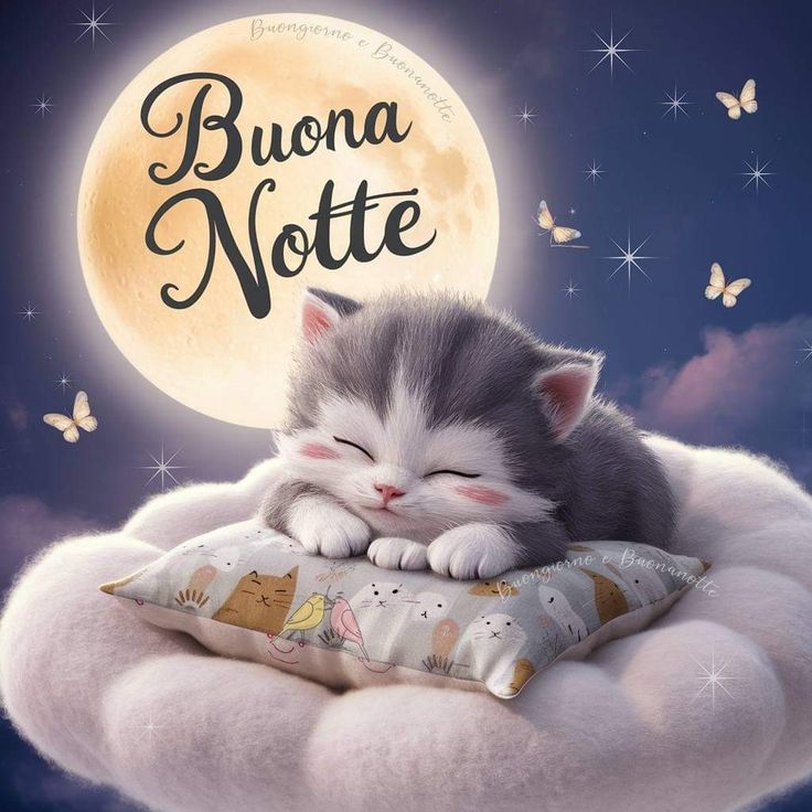 immagini buonanotte originali