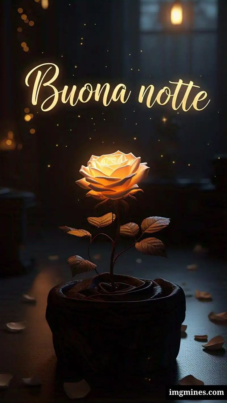 immagini buonanotte quaresima