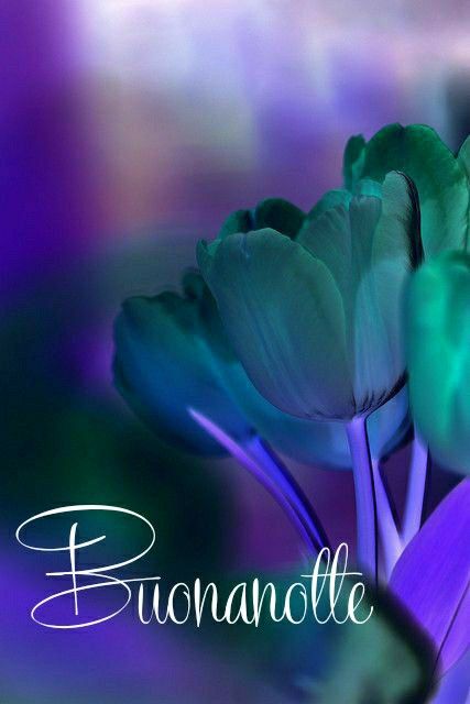 mafalda buonanotte immagini