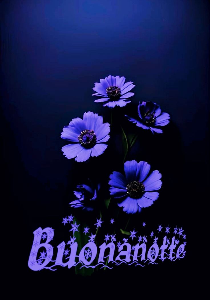 nuovissimo buonanotte immagini recenti divertenti