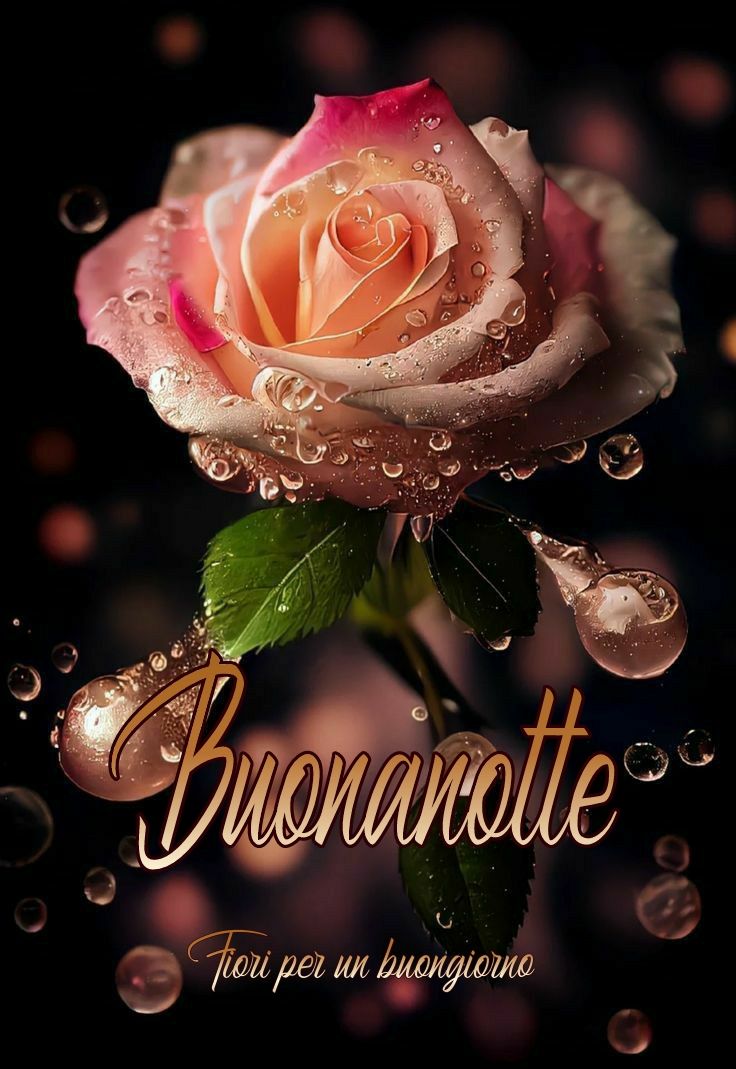 ti auguro buonanotte a domani