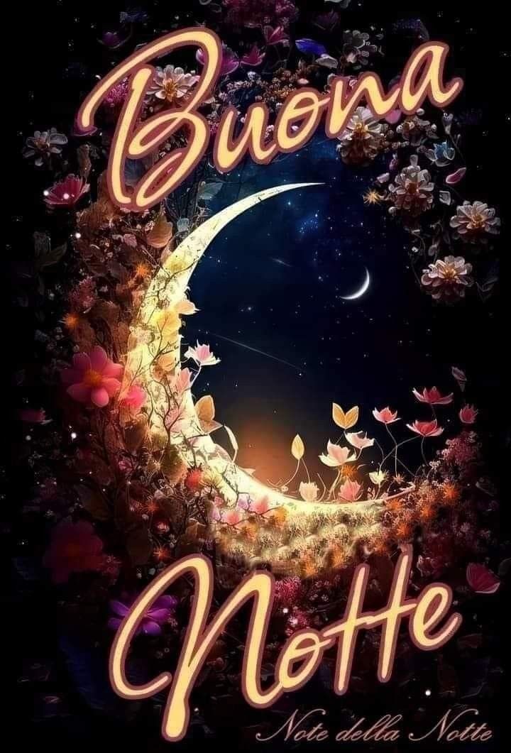 whatsapp buonanotte immagini